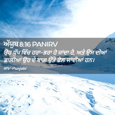 Picture 02 - ਅੱਯੂਬ 8:16 PANIRV - ਉਹ ਧੁੱਪ ਵਿੱਚ - Bible Verse Picture