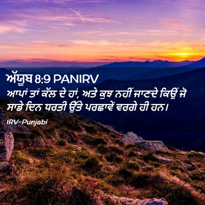 Picture 02 - ਅੱਯੂਬ 8:9 PANIRV - ਆਪਾਂ ਤਾਂ ਕੱਲ ਦੇ - Bible Verse Picture