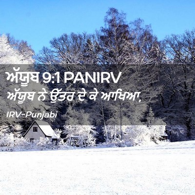Picture 02 - ਅੱਯੂਬ 9:1 PANIRV - ਅੱਯੂਬ ਨੇ ਉੱਤਰ ਦੇ ਕੇ - Bible Verse Picture