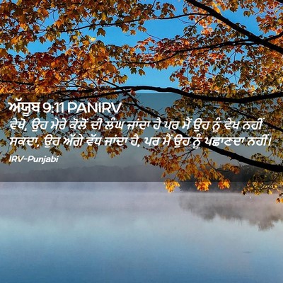 Picture 02 - ਅੱਯੂਬ 9:11 PANIRV - ਵੇਖੋ, ਉਹ ਮੇਰੇ ਕੋਲੋਂ - Bible Verse Picture