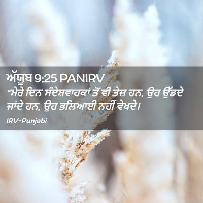 Picture 02 - ਅੱਯੂਬ 9:25 PANIRV - “ਮੇਰੇ ਦਿਨ - Bible Verse Picture