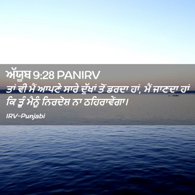 Picture 02 - ਅੱਯੂਬ 9:28 PANIRV - ਤਾਂ ਵੀ ਮੈਂ ਆਪਣੇ - Bible Verse Picture