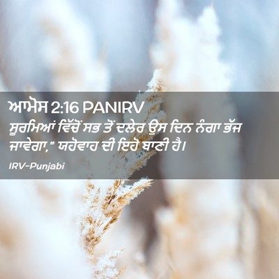Picture 02 - ਆਮੋਸ 2:16 PANIRV - ਸੂਰਮਿਆਂ ਵਿੱਚੋਂ ਸਭ - Bible Verse Picture