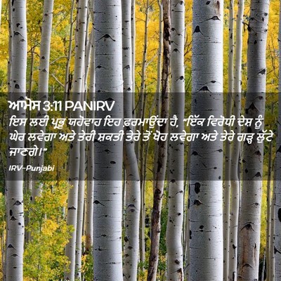 Picture 02 - ਆਮੋਸ 3:11 PANIRV - ਇਸ ਲਈ ਪ੍ਰਭੂ ਯਹੋਵਾਹ - Bible Verse Picture