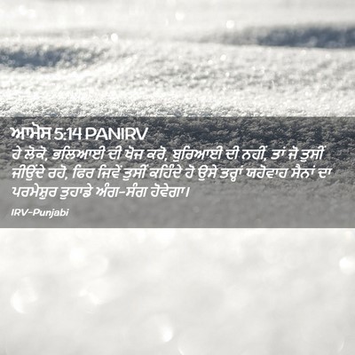 Picture 02 - ਆਮੋਸ 5:14 PANIRV - ਹੇ ਲੋਕੋ, ਭਲਿਆਈ ਦੀ - Bible Verse Picture