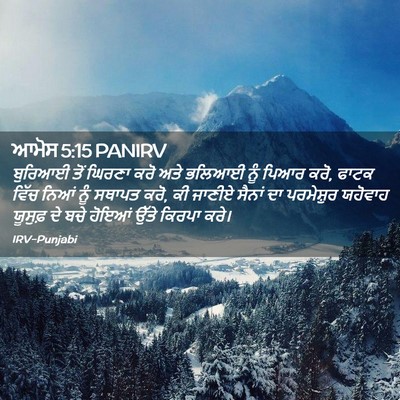 Picture 02 - ਆਮੋਸ 5:15 PANIRV - ਬੁਰਿਆਈ ਤੋਂ ਘਿਰਣਾ - Bible Verse Picture
