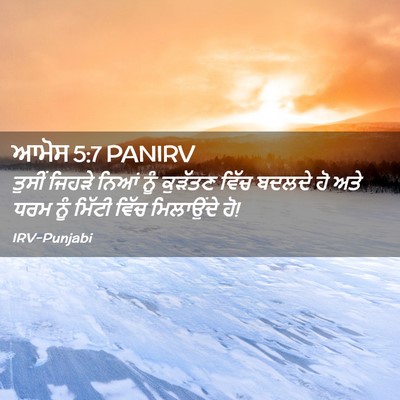 Picture 02 - ਆਮੋਸ 5:7 PANIRV - ਤੁਸੀਂ ਜਿਹੜੇ ਨਿਆਂ - Bible Verse Picture