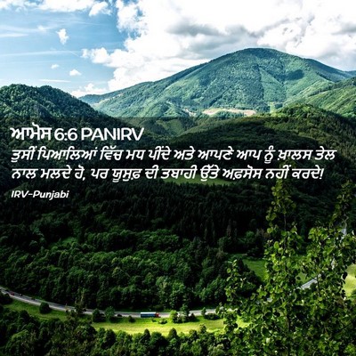 Picture 02 - ਆਮੋਸ 6:6 PANIRV - ਤੁਸੀਂ ਪਿਆਲਿਆਂ - Bible Verse Picture