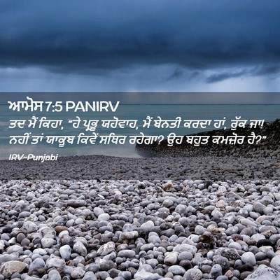 Picture 02 - ਆਮੋਸ 7:5 PANIRV - ਤਦ ਮੈਂ ਕਿਹਾ, “ਹੇ - Bible Verse Picture