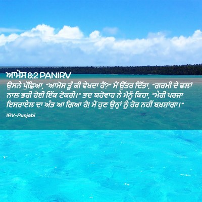 Picture 02 - ਆਮੋਸ 8:2 PANIRV - ਉਸਨੇ ਪੁੱਛਿਆ, “ਆਮੋਸ - Bible Verse Picture