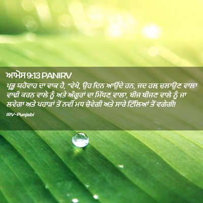 Picture 02 - ਆਮੋਸ 9:13 PANIRV - ਪ੍ਰਭੂ ਯਹੋਵਾਹ ਦਾ - Bible Verse Picture