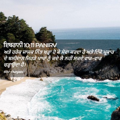 Picture 02 - ਇਬਰਾਨੀ 10:11 PANIRV - ਅਤੇ ਹਰੇਕ ਜਾਜਕ ਨਿੱਤ - Bible Verse Picture