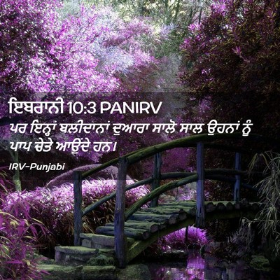Picture 02 - ਇਬਰਾਨੀ 10:3 PANIRV - ਪਰ ਇਨ੍ਹਾਂ - Bible Verse Picture