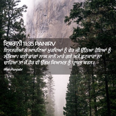 Picture 02 - ਇਬਰਾਨੀ 11:35 PANIRV - ਇਸਤਰੀਆਂ ਨੇ ਆਪਣਿਆਂ - Bible Verse Picture