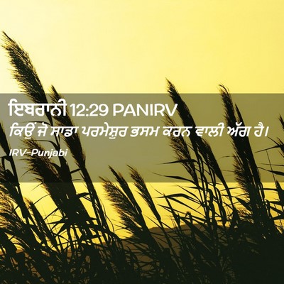 Picture 02 - ਇਬਰਾਨੀ 12:29 PANIRV - ਕਿਉਂ ਜੋ ਸਾਡਾ - Bible Verse Picture