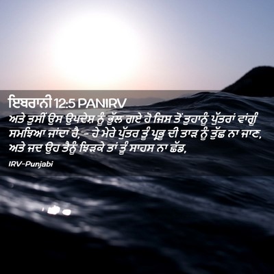 Picture 02 - ਇਬਰਾਨੀ 12:5 PANIRV - ਅਤੇ ਤੁਸੀਂ ਉਸ - Bible Verse Picture
