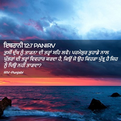 Picture 02 - ਇਬਰਾਨੀ 12:7 PANIRV - ਤੁਸੀਂ ਦੁੱਖ ਨੂੰ - Bible Verse Picture