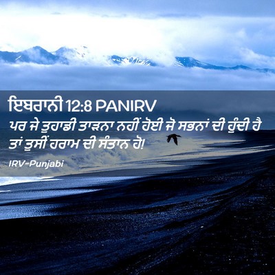 Picture 02 - ਇਬਰਾਨੀ 12:8 PANIRV - ਪਰ ਜੇ ਤੁਹਾਡੀ ਤਾੜਨਾ - Bible Verse Picture