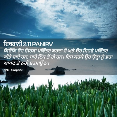 Picture 02 - ਇਬਰਾਨੀ 2:11 PANIRV - ਕਿਉਂਕਿ ਉਹ ਜਿਹੜਾ - Bible Verse Picture