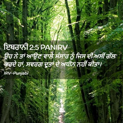 Picture 02 - ਇਬਰਾਨੀ 2:5 PANIRV - ਉਹ ਨੇ ਤਾਂ ਆਉਣ ਵਾਲੇ - Bible Verse Picture