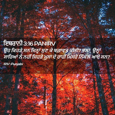 Picture 02 - ਇਬਰਾਨੀ 3:16 PANIRV - ਉਹ ਕਿਹੜੇ ਸਨ - Bible Verse Picture