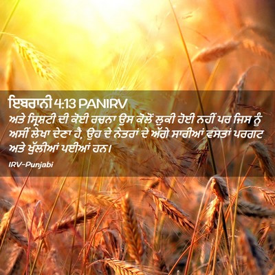 Picture 02 - ਇਬਰਾਨੀ 4:13 PANIRV - ਅਤੇ ਸ੍ਰਿਸ਼ਟੀ ਦੀ - Bible Verse Picture