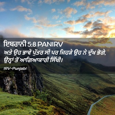 Picture 02 - ਇਬਰਾਨੀ 5:8 PANIRV - ਅਤੇ ਉਹ ਭਾਵੇਂ ਪੁੱਤਰ - Bible Verse Picture