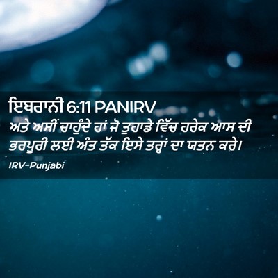 Picture 02 - ਇਬਰਾਨੀ 6:11 PANIRV - ਅਤੇ ਅਸੀਂ ਚਾਹੁੰਦੇ - Bible Verse Picture
