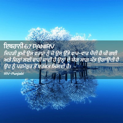 Picture 02 - ਇਬਰਾਨੀ 6:7 PANIRV - ਜਿਹੜੀ ਭੂਮੀ ਉਸ ਵਰਖਾ - Bible Verse Picture