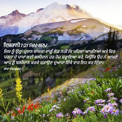 Picture 02 - ਇਬਰਾਨੀ 7:27 PANIRV - ਜਿਸ ਨੂੰ ਉਨ੍ਹਾਂ - Bible Verse Picture