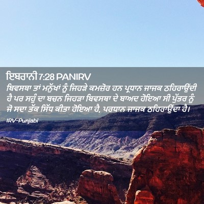Picture 02 - ਇਬਰਾਨੀ 7:28 PANIRV - ਬਿਵਸਥਾ ਤਾਂ - Bible Verse Picture