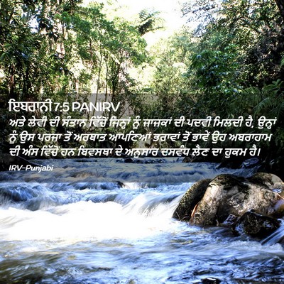 Picture 02 - ਇਬਰਾਨੀ 7:5 PANIRV - ਅਤੇ ਲੇਵੀ ਦੀ ਸੰਤਾਨ - Bible Verse Picture