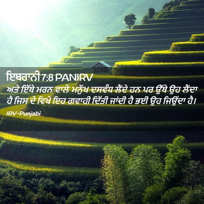 Picture 02 - ਇਬਰਾਨੀ 7:8 PANIRV - ਅਤੇ ਇੱਥੇ ਮਰਨ ਵਾਲੇ - Bible Verse Picture