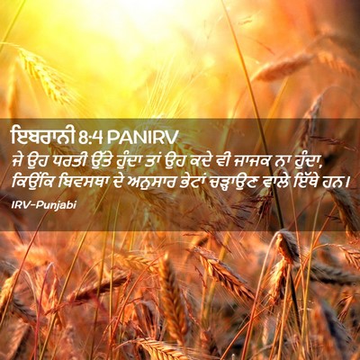 Picture 02 - ਇਬਰਾਨੀ 8:4 PANIRV - ਜੇ ਉਹ ਧਰਤੀ ਉੱਤੇ - Bible Verse Picture