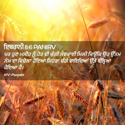 Picture 02 - ਇਬਰਾਨੀ 8:6 PANIRV - ਪਰ ਹੁਣ ਮਸੀਹ ਨੂੰ ਹੋਰ - Bible Verse Picture