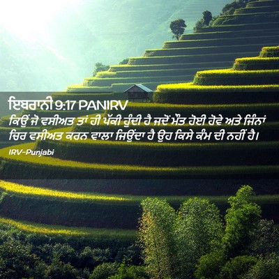 Picture 02 - ਇਬਰਾਨੀ 9:17 PANIRV - ਕਿਉਂ ਜੋ ਵਸੀਅਤ ਤਾਂ - Bible Verse Picture