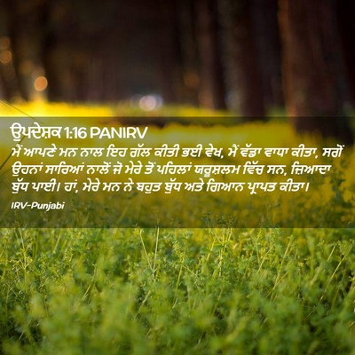 Picture 02 - ਉਪਦੇਸ਼ਕ 1:16 PANIRV - ਮੈਂ ਆਪਣੇ ਮਨ ਨਾਲ ਇਹ - Bible Verse Picture