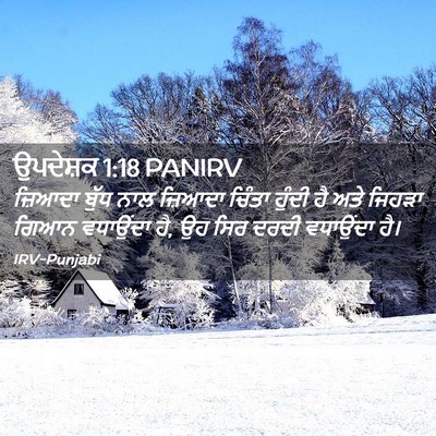 Picture 02 - ਉਪਦੇਸ਼ਕ 1:18 PANIRV - ਜ਼ਿਆਦਾ ਬੁੱਧ ਨਾਲ - Bible Verse Picture