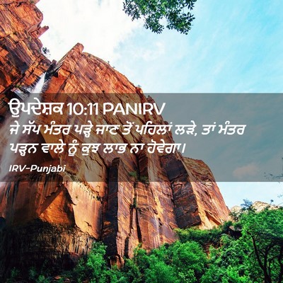 Picture 02 - ਉਪਦੇਸ਼ਕ 10:11 PANIRV - ਜੇ ਸੱਪ ਮੰਤਰ ਪੜ੍ਹੇ - Bible Verse Picture