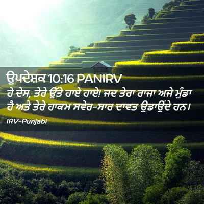 Picture 02 - ਉਪਦੇਸ਼ਕ 10:16 PANIRV - ਹੇ ਦੇਸ, ਤੇਰੇ ਉੱਤੇ - Bible Verse Picture