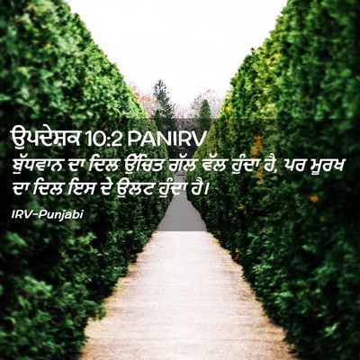 Picture 02 - ਉਪਦੇਸ਼ਕ 10:2 PANIRV - ਬੁੱਧਵਾਨ ਦਾ ਦਿਲ - Bible Verse Picture