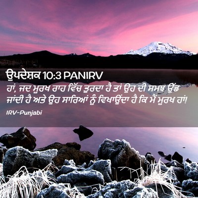 Picture 02 - ਉਪਦੇਸ਼ਕ 10:3 PANIRV - ਹਾਂ, ਜਦ ਮੂਰਖ ਰਾਹ - Bible Verse Picture
