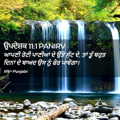 Picture 02 - ਉਪਦੇਸ਼ਕ 11:1 PANIRV - ਆਪਣੀ ਰੋਟੀ ਪਾਣੀਆਂ - Bible Verse Picture
