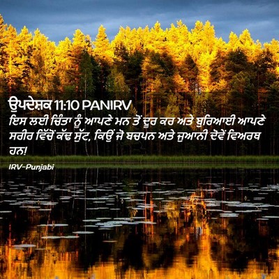 Picture 02 - ਉਪਦੇਸ਼ਕ 11:10 PANIRV - ਇਸ ਲਈ ਚਿੰਤਾ ਨੂੰ - Bible Verse Picture