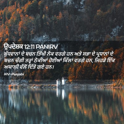 Picture 02 - ਉਪਦੇਸ਼ਕ 12:11 PANIRV - ਬੁੱਧਵਾਨਾਂ ਦੇ ਬਚਨ - Bible Verse Picture