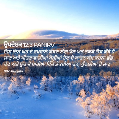 Picture 02 - ਉਪਦੇਸ਼ਕ 12:3 PANIRV - ਜਿਸ ਦਿਨ ਘਰ ਦੇ - Bible Verse Picture