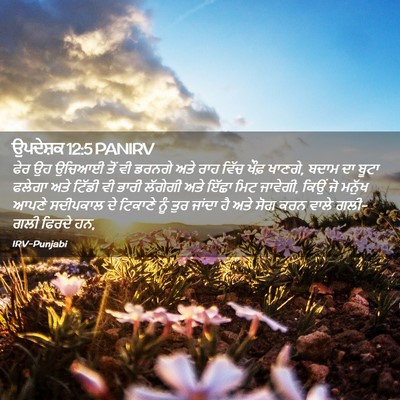 Picture 02 - ਉਪਦੇਸ਼ਕ 12:5 PANIRV - ਫੇਰ ਉਹ ਉਚਿਆਈ ਤੋਂ ਵੀ - Bible Verse Picture