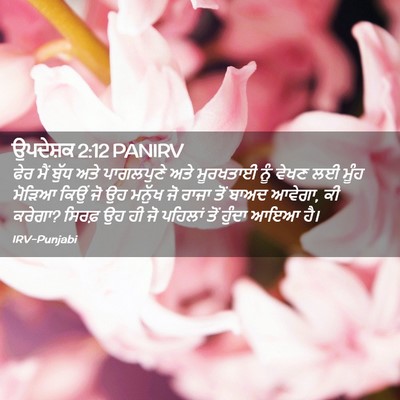 Picture 02 - ਉਪਦੇਸ਼ਕ 2:12 PANIRV - ਫੇਰ ਮੈਂ ਬੁੱਧ ਅਤੇ - Bible Verse Picture