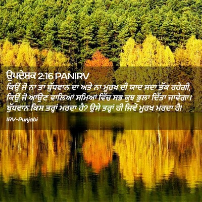 Picture 02 - ਉਪਦੇਸ਼ਕ 2:16 PANIRV - ਕਿਉਂ ਜੋ ਨਾ ਤਾਂ - Bible Verse Picture
