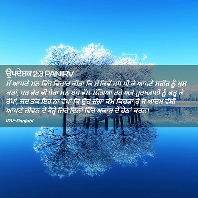 Picture 02 - ਉਪਦੇਸ਼ਕ 2:3 PANIRV - ਮੈਂ ਆਪਣੇ ਮਨ ਵਿੱਚ - Bible Verse Picture